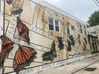 Pretty in Philadelphia PA