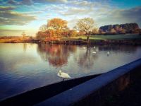 Longmoor Pool, Sutton Park