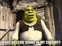 shrek-what-are-you-doing-in-my-swamp