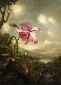 Hummingbird and Orchid by Martin Johnson Heade