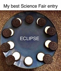 Science Fair . . . . .