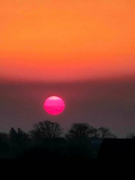 Solve PINK SUN jigsaw puzzle online with 35 pieces