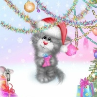 Noel minet