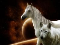 horse and wolf