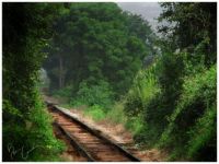 Train_Tracks_by_BassCleft