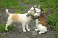 A 'can't-get-enough' hug