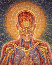 Alex Grey - Praying is a portrait revealing a sun in the heart