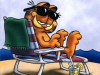 Garfield @ The Beach