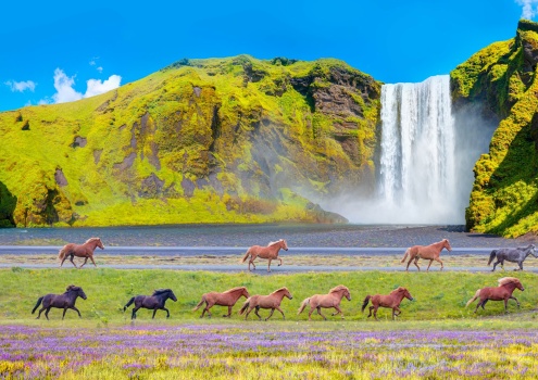 Skogafoss waterfall, Iceland