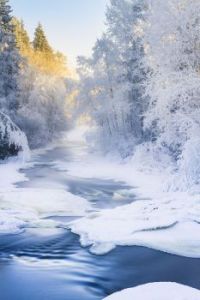 A Finnish Winter - Orimattila