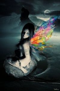 fairy