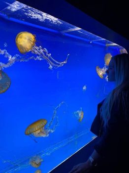Svět Medúz Arkády Pankrác - největší medúzárium v Evropě