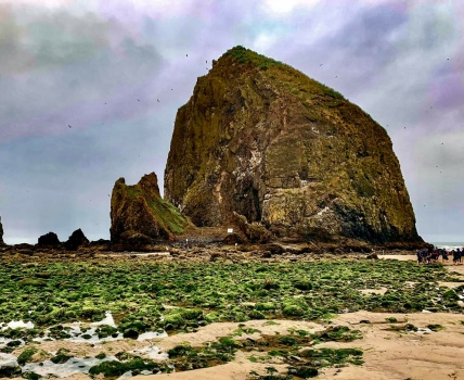 Solve LOW TIDE AT HAYSTACK ROCK, OR jigsaw puzzle online with 270 pieces