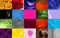 Different colors