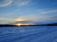 Snowy Cold Sunrise