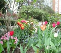 Spring in North Vancouver