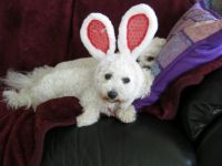 happy easter (can you see my sister?)