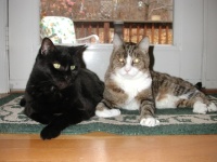 Murphy Brown and Seth