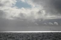 Iceland, no whales today