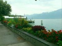 Geneva lake-2