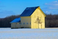 yellow barn 💛