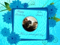 Happy Birthday dear Donna  (dhi)
