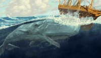 Moby Dick IRL