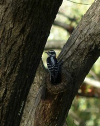 Wherever you go, no matter what the weather, always bring your own sunshine.