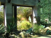 Albuquerque Botanical Gardens-c