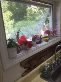 My kitchen window