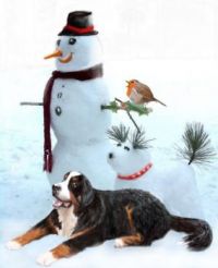 snowman and dogs
