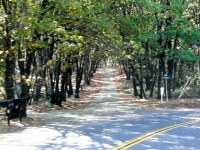 Country lane in the fall