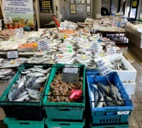 Fish stall at the market
