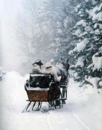 Last sleigh ride of the season