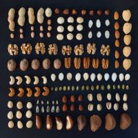 nuts