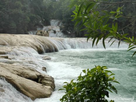 MEXICO – State of Chiapas – The Blue Water Cascades