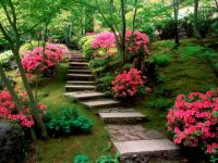Zen Garden Stone Walkway