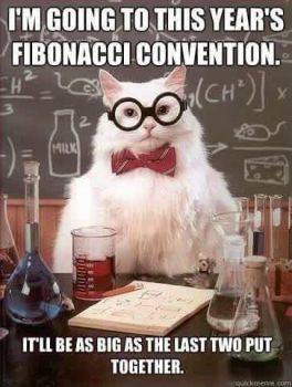 fibonacci convention