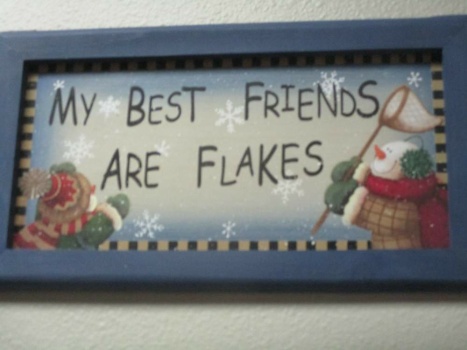 Solve My best friends are flakes. jigsaw puzzle online with 12 pieces