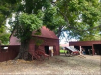 Old barn and wagons