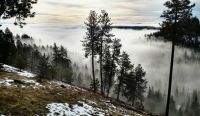 Foggy Lake View in Worley ID