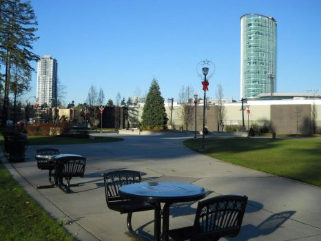 a January day in the park, Vancouver, Canada