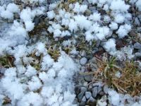 winter 2013 007