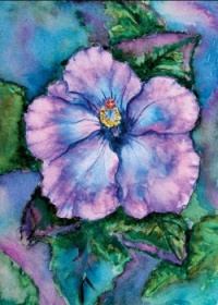 Purple Hibiscus