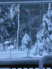 Blizzard in Cape Cod, Massachusetts