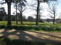 Exbury Gardens in Spring