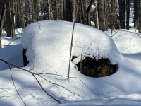 Snow covered rock