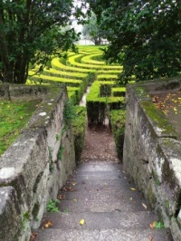 Hedge_maze_in_Parque_São_Roque_da_Lameira_5