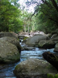 Mossman Gorge, Queensland, Australia