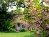 little pink cottage